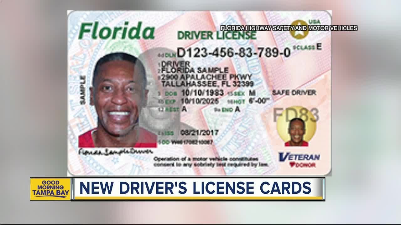 Check Your Florida Drivers License
